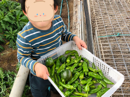 苦手な野菜があってもいい