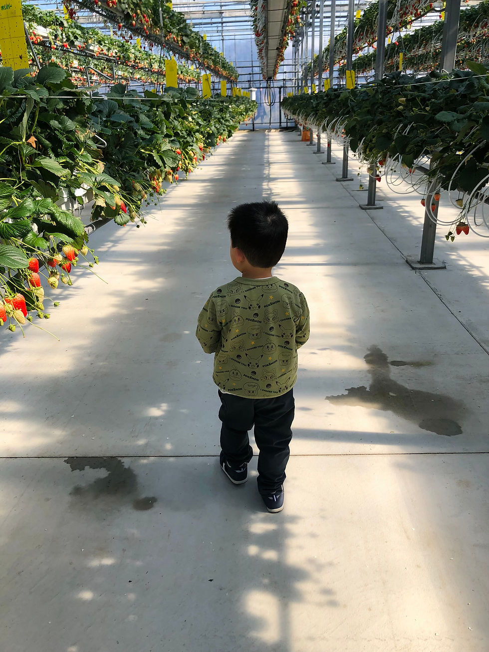 正しい子育てより、自分らしい子育て