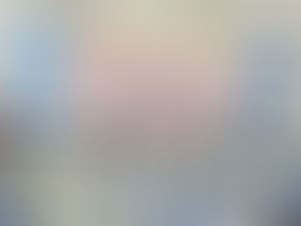 제83회 KKF 전국애견미용사 자격검정 및 컨테스트