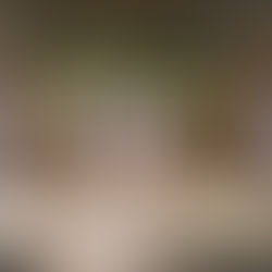 Project Tour: H.H.H. Showroom