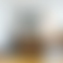 Chicago Vintage Remodel