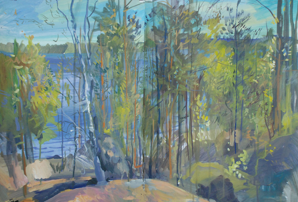 Карельский лес