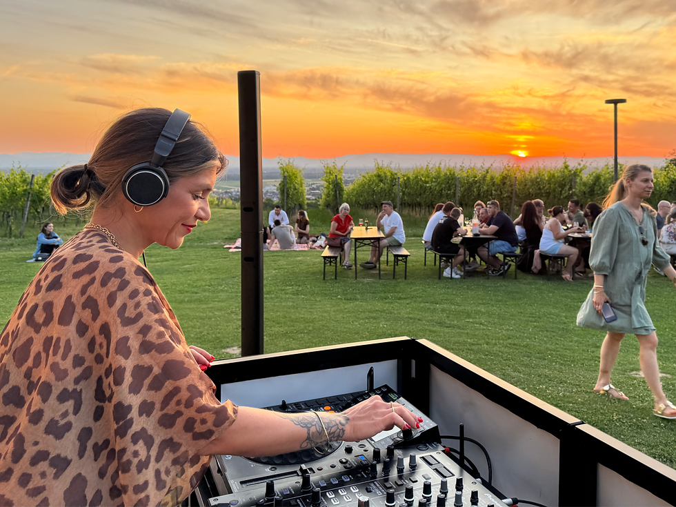 abgesagt / SUNDOWNER DJ SET // Roselle
