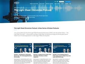 2026-02-15 12_14_54-.png