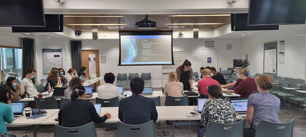 person teaching in front of a class
