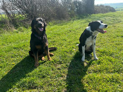 Luna and Jax