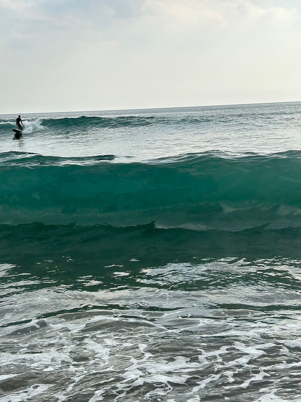 コンティニュアム|一日ワークショップ