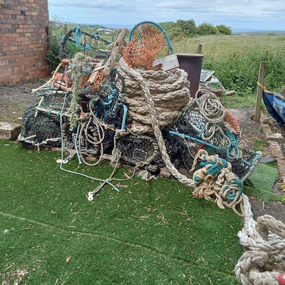 508590526_10213806380829555_8338806672780419697_n (1)