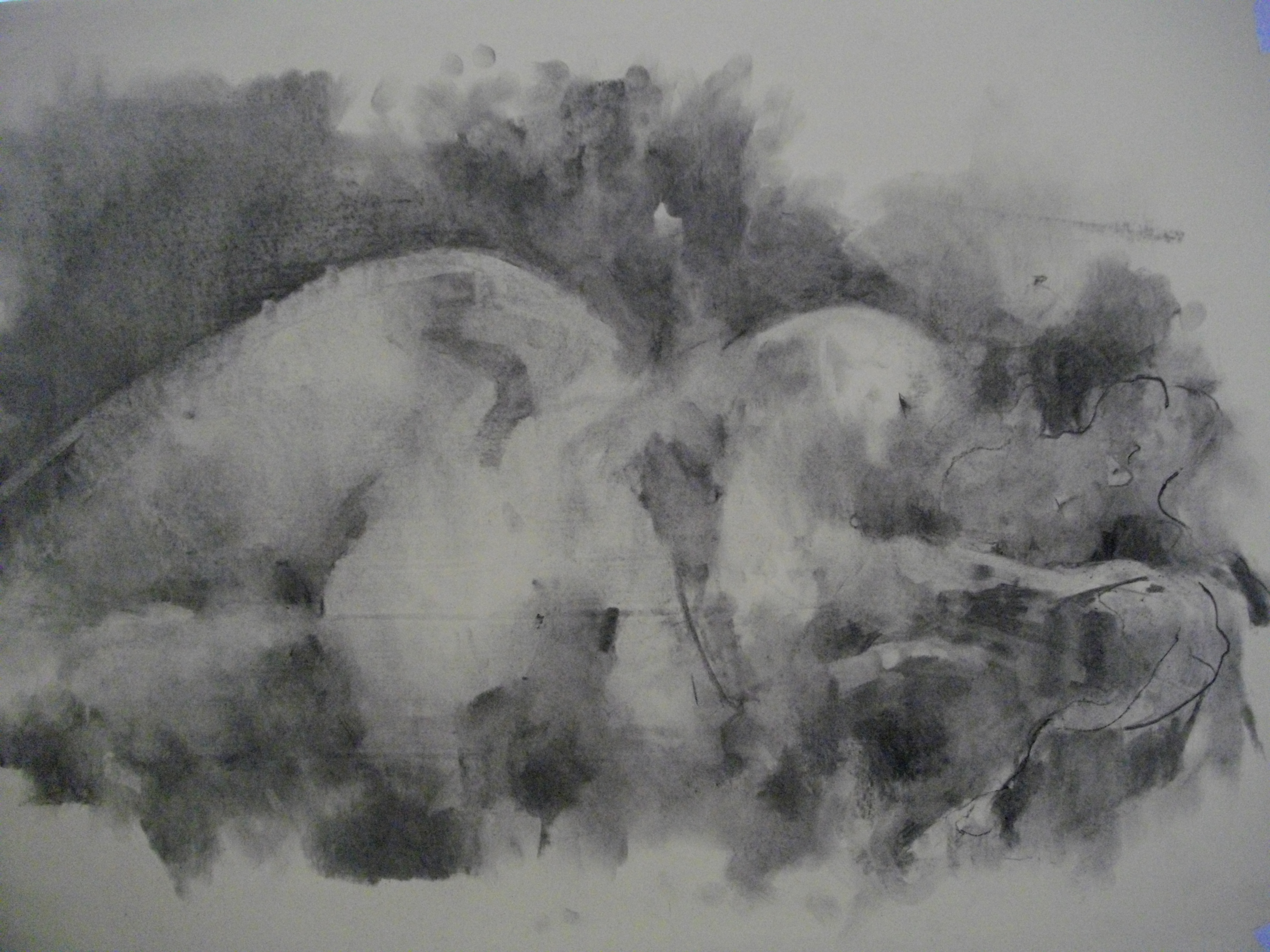 Stella O'drive charcoal study