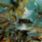 492102185_10213456877892200_7804709674239428401_n