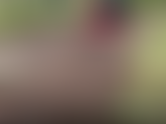 What You Can Do With a Box Blade and Why It Is Such an Important Tractor Implement