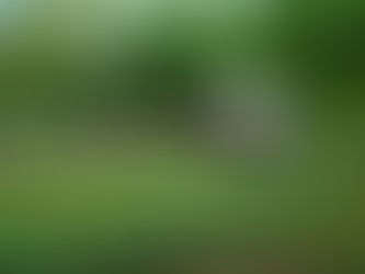 How to Legally Setup and Benefit from a Homestead