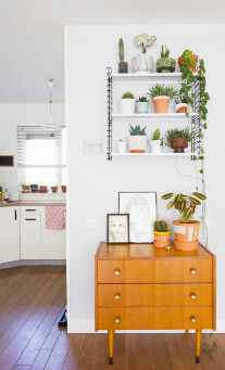 How to Turn Your Farmhouse into a Health and Wellness Sanctuary