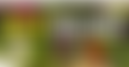 How Do I Grow Great-tasting Winter Vegetables All Year Round?