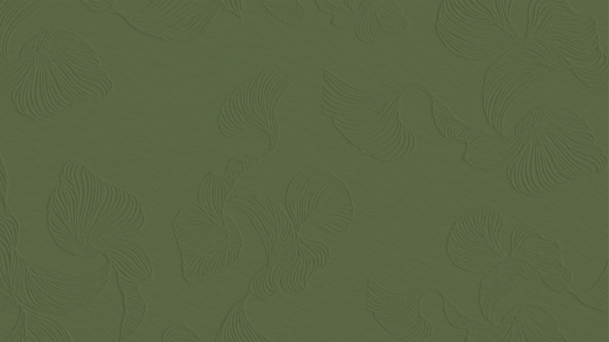 Fondo con relieve verde2.png