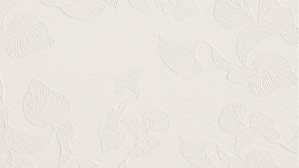 Fondo con relieve.png