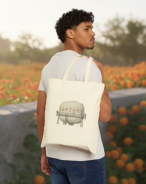 Bag Model Background.png