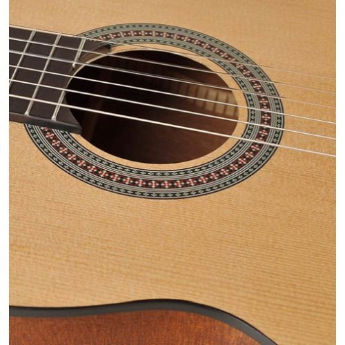 Miniature : Guitare Salvador CS