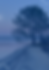 Copie de Affiche SNCB 2024.png