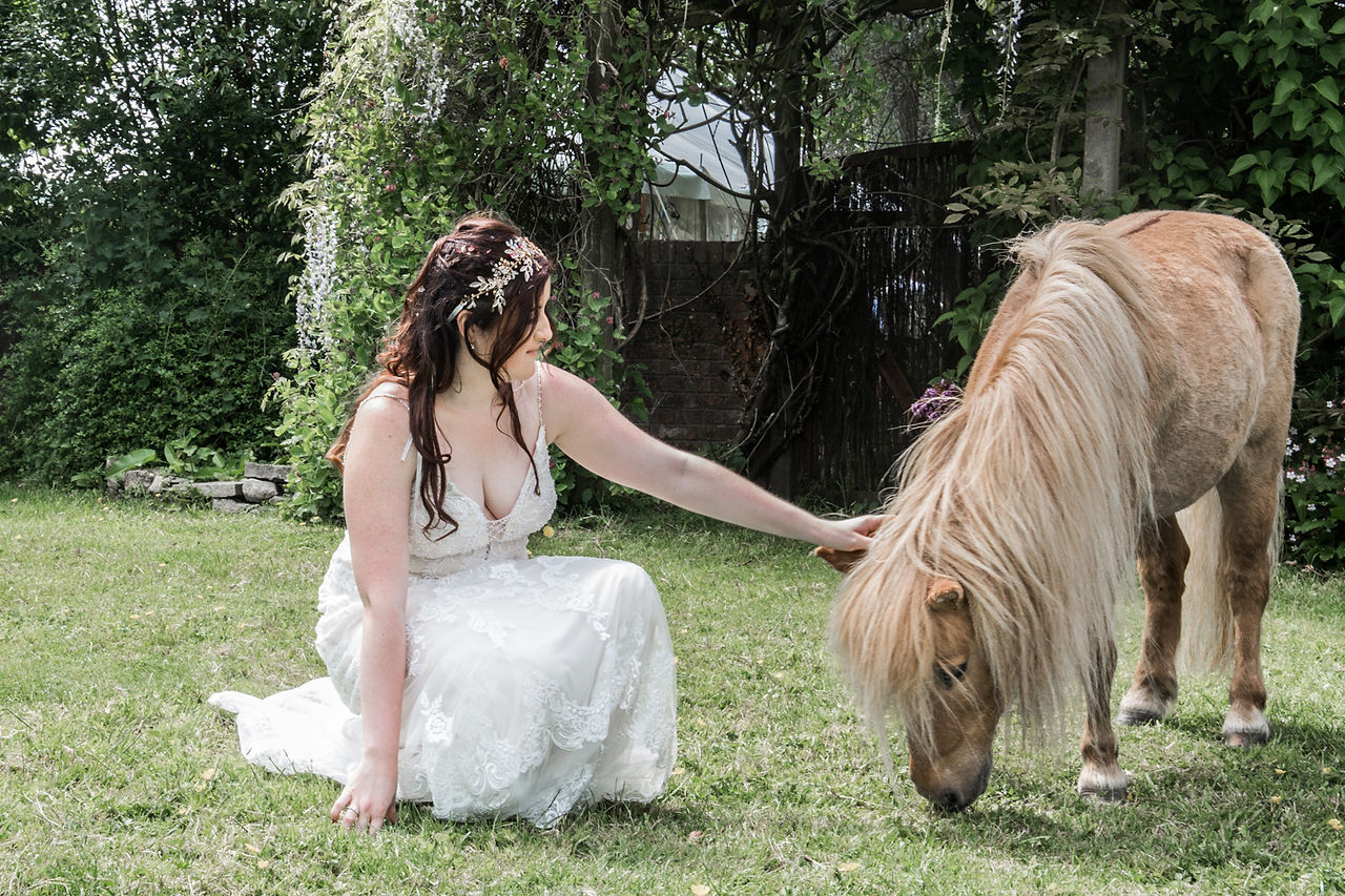 Gower Horses and Dress Wedding Photography 