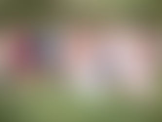 Wedding Photography Group Photo Ideas Swansea, South Wales