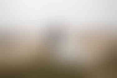 Bride and Groom Photography with the Gower and Swansea Beach behind