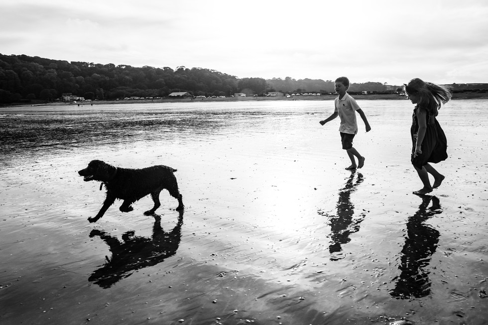 children chase their dog on the low tide beach at oxwich