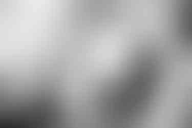 Wedding Photography Swansea, The Gower and Carmarthenshire of Bridal Group Shot