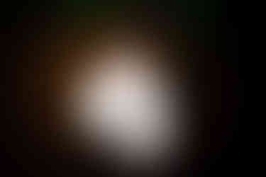 Flower Girl Wedding Photography Portrait at Stradey Park Hotel, Llanelli