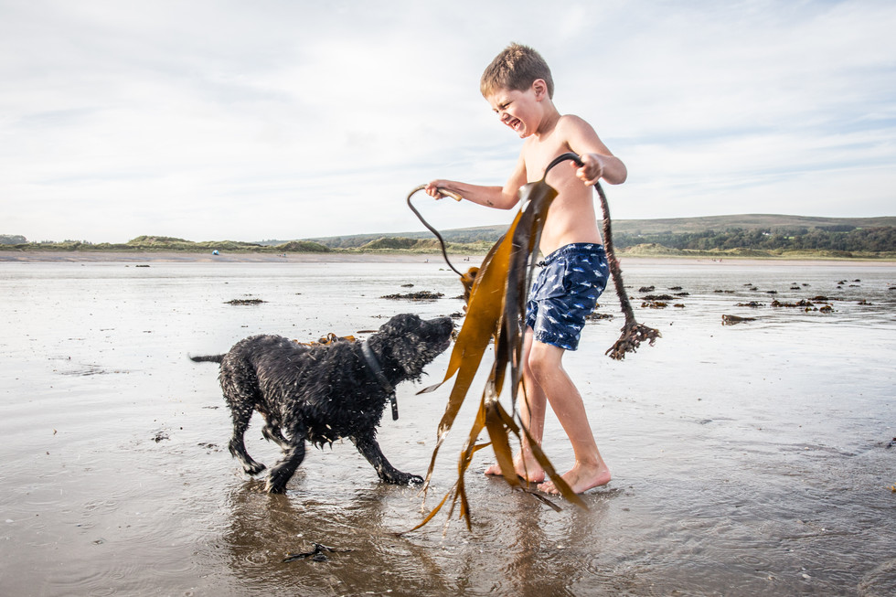 boy plays with his dog at oxwich beach during low tide