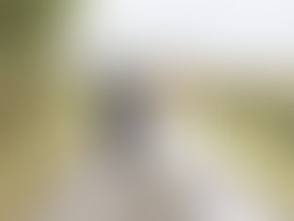 Caerhyn Venue Barn Wedding Photography | Erin & Ieuan | Rustic Wedding Venue in Carmarthenshire