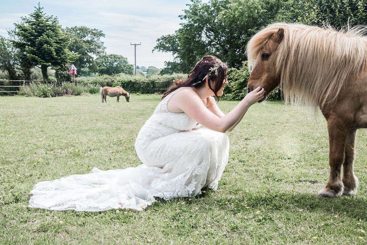 Gower Horses and Bride Wedding Photography in Swansea