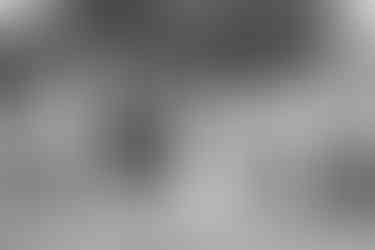 Group Photos wedding in swansea