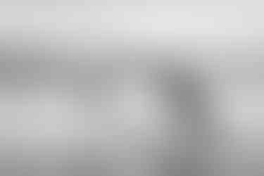 boy and his dog in the sea at Oxwich bay family photograph