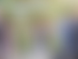 Summer Wedding Photography at The Old Vicarage, New Forest | Katrina & Chris