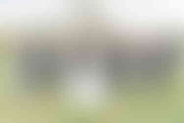 wedding party photography at sylen lakes around one of the main lakes