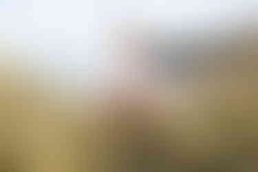 boy poses happily in the dunes at oxwich bay