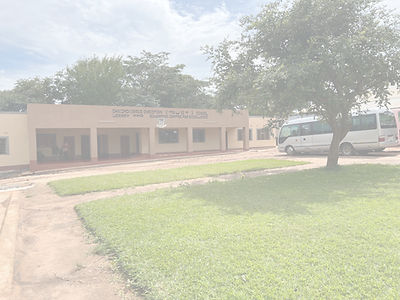 Photo Feb 18 2023, 2 33 48 PM_edited.jpg