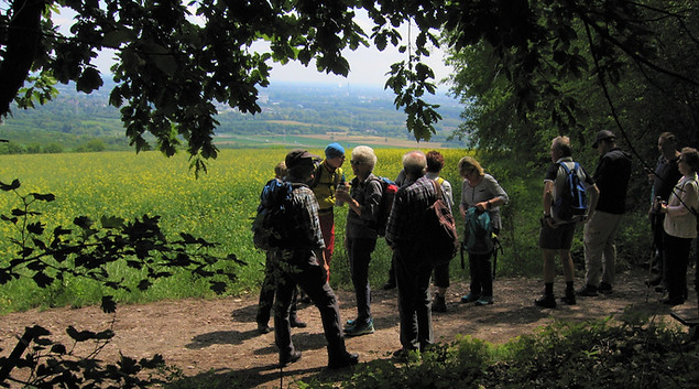 Blick auf Frauenstein_edited.jpg