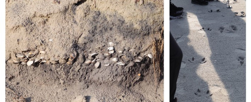 Cultural Heritage Workshop 1.jpg