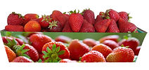 3pack design #2.jpg