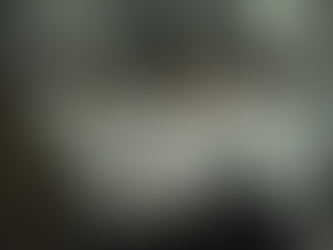 හිටපු අමාත්ය ජොන්ස්ටන් ප්රනාන්දු මහතා සහ ඔහුගේ බාල පුත්රයා අත්අඩංගුවට