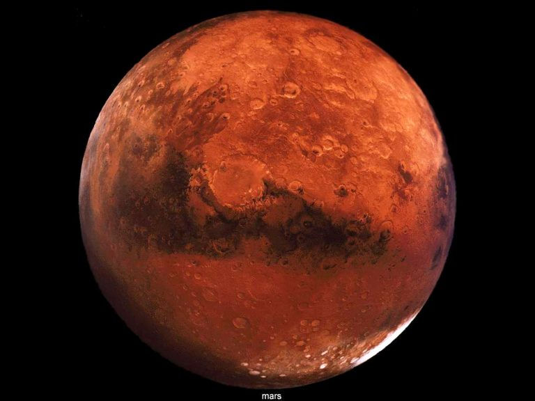 ree