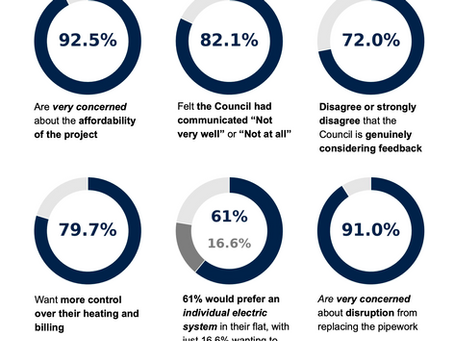 Pimlico Unites Survey Results
