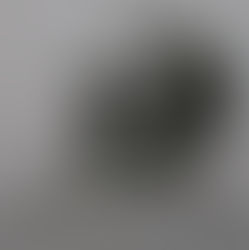 THICKET launch Windsor(ia)