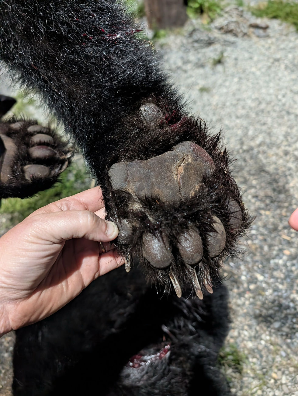 083f12fe-4c84-4ba1-ae06-f3e499151f2b