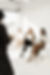 haute-stock-photography-subscription-the-agency-collection-final-42.jpg