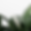 botanical3.png