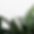 botanical3.png