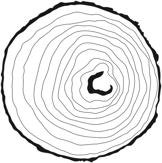 Mittermaier_Baum_1c_web.png